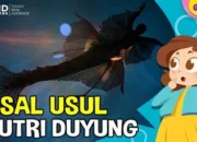 Mitos Menawan: Mengungkap Asal Usul Putri Duyung